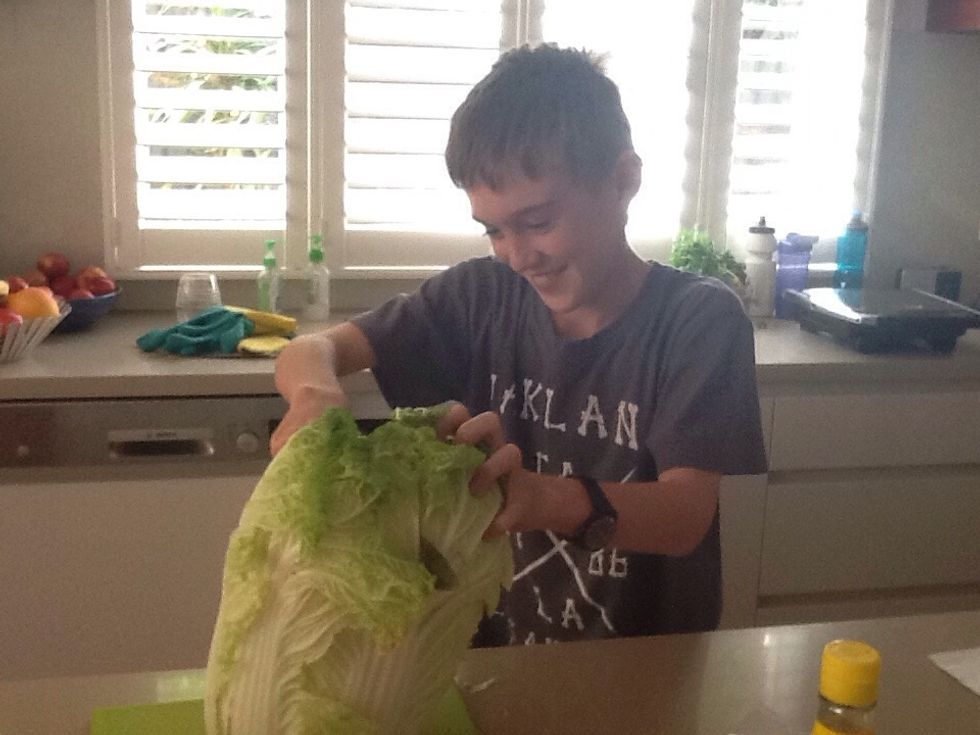 1/2 a cup of finely shredded Wombok cabbage.