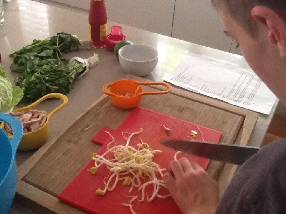 1/2 a cup of trimmed beansprouts.