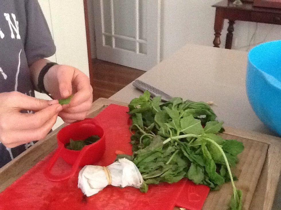 1/3 of a cup of fresh mint leaves.