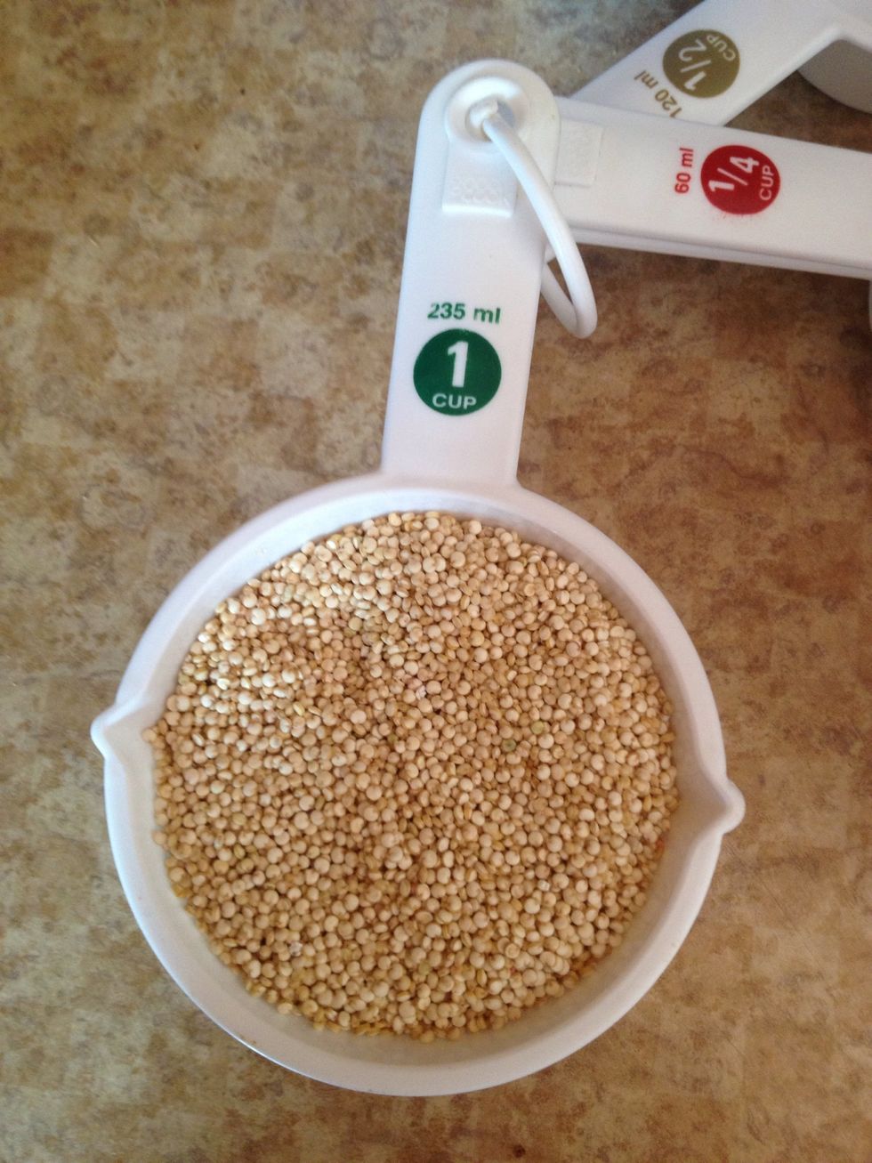 1 cup of Quinoa