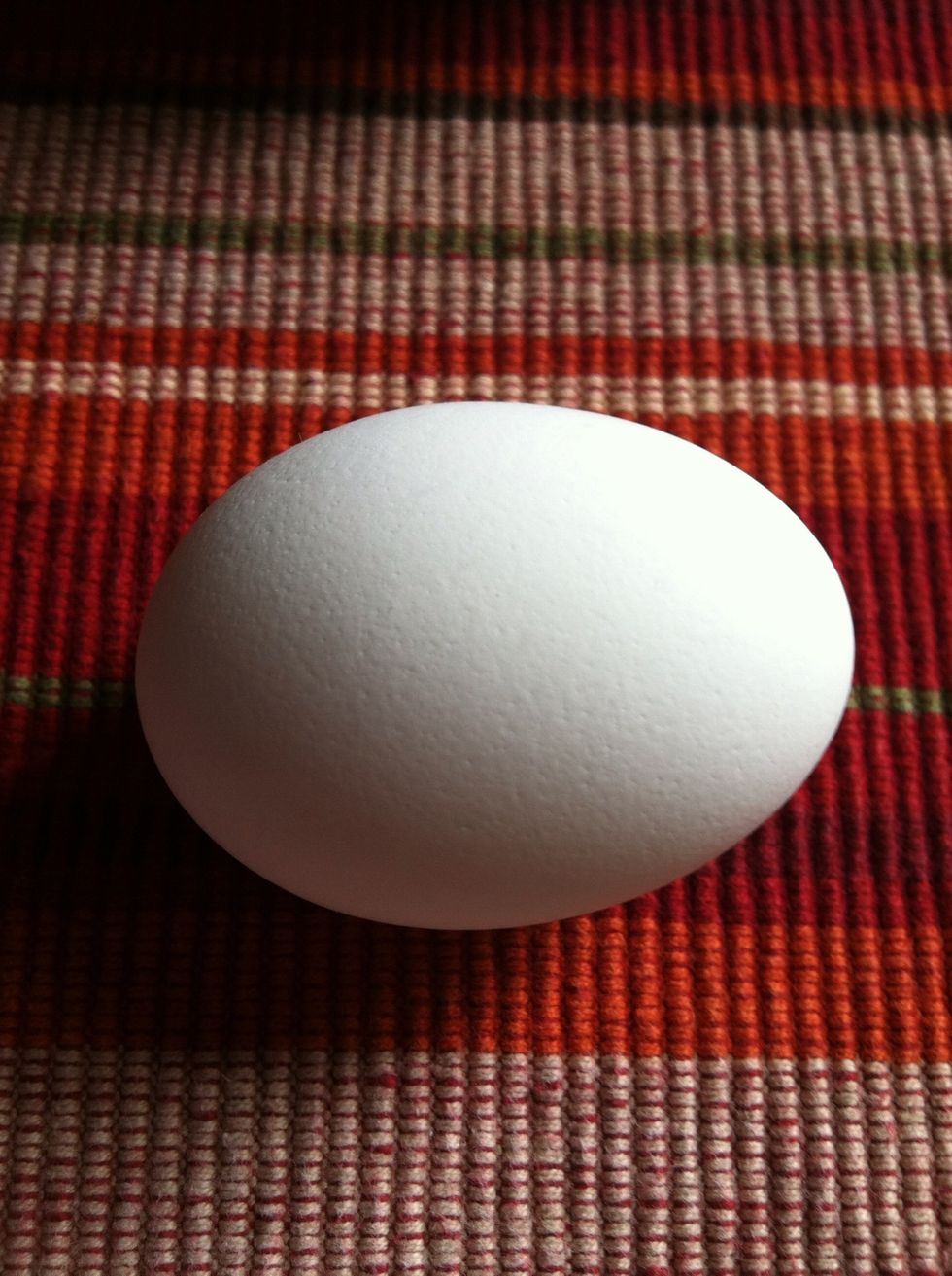 1 egg.