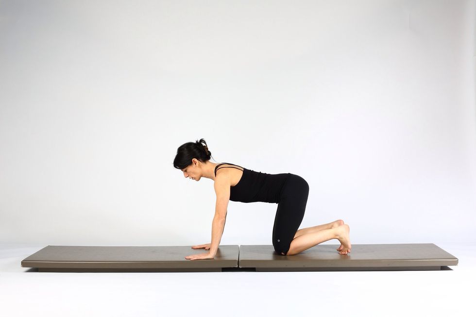 1. PLANK WALK OUTS-  start on hands and knees,  hands under shoulders,  knees under hips. Keep spine neutral.