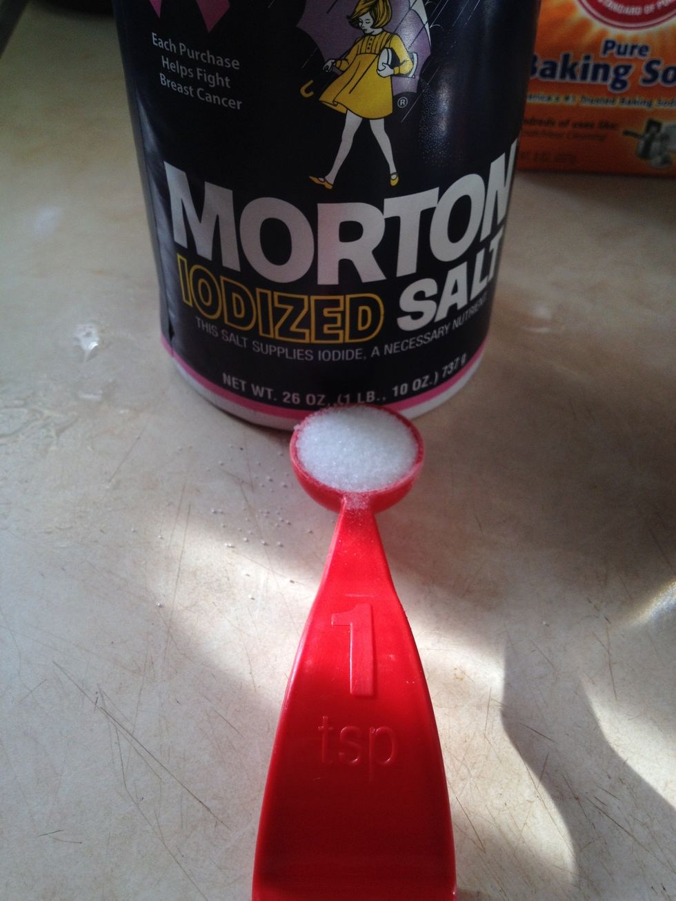 1 teaspoon of salt.