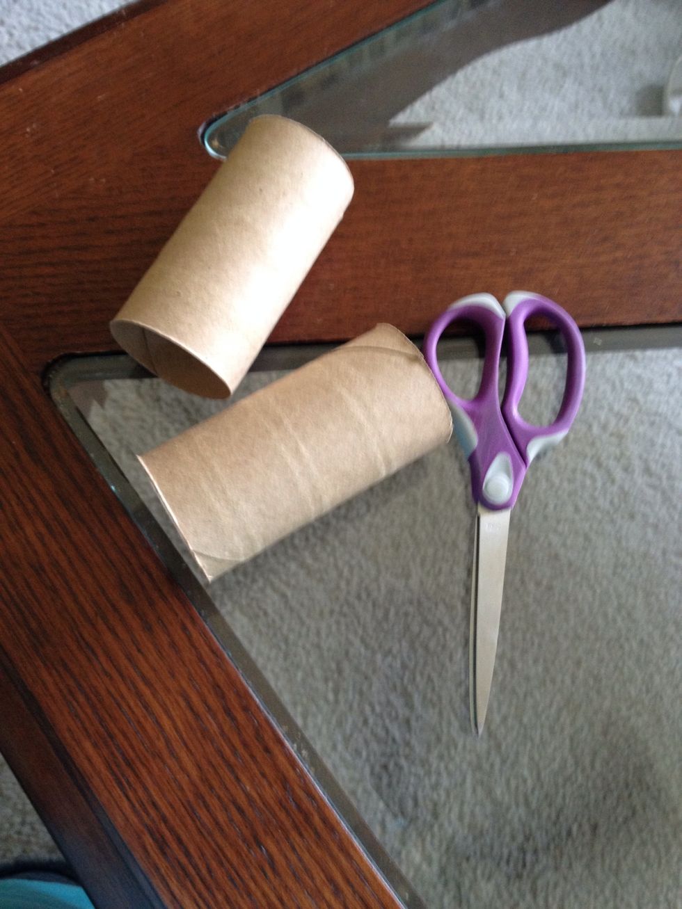 1 toilet paper roll = 2 seed starters