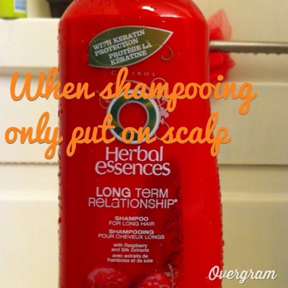 1 When shampooing only scrub your scalp