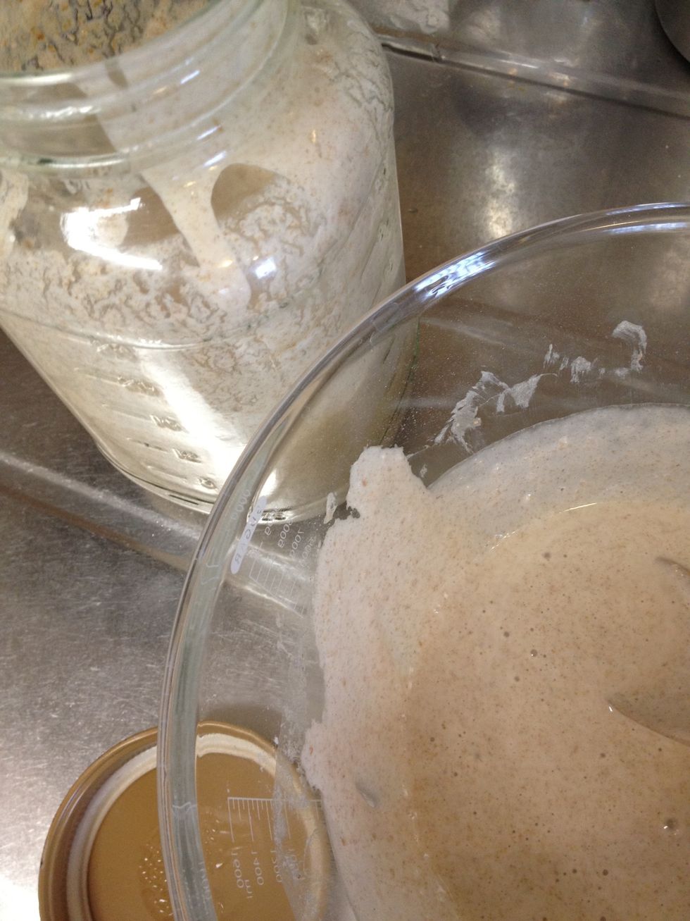 (10/27 2:10pm) \u7121\u7406\u77e2\u7406\u8d77\u3053\u3057\u305f\u30b9\u30bf\u30fc\u30bf\u30fc\u304b\u3089\u534a\u5206\u3050\u3089\u3044\u5143\u7a2e\u306b\u623b\u3057\u305f\u3002\u3053\u308c\u3067\u5143\u7a2e\u306e\u5feb\u5fa9\u3082\u52a0\u901f\u3057\u3066\u304f\u308c\u308b\u3068\u3044\u3044\u3093\u3060\u3051\u3069\u2026\u3002