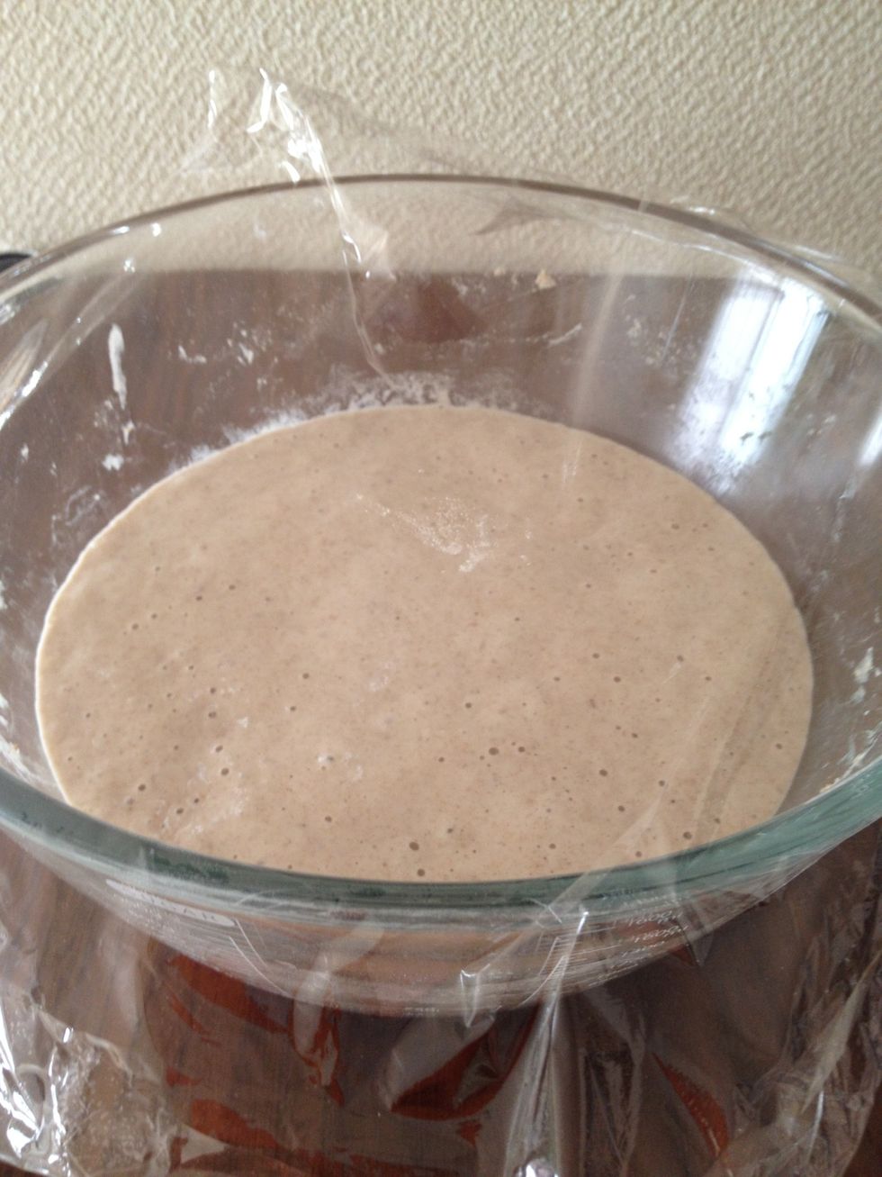 (10/27 8:00am) 26\u65e5\u671d\u3001\u5143\u7a2e1c\u3001\u6c341/2c\u3001\u65e5\u6e05\u30d1\u30f3\u5c02\u7528\u5c0f\u9ea6\u7c891c\u3001\u5168\u7c92\u7c891tbsp\u3001\u30e9\u30a4\u9ea6\u7c891tbsp\u3067\u30b9\u30bf\u30fc\u30bf\u30fc\u4f5c\u308a\u3002\u591c\u306b\u5168\u7c92\u7c89\u3001\u30e9\u30a4\u9ea6\u7c89\u3001\u30a4\u30bf\u30ea\u30a2\u7523\u5929\u7136\u70ad\u9178\u6c34\u30921tbsp\u305a\u3064feed\u2026\u3002\u4e00\u591c\u660e\u3051\u305f\u4eca\u671d\u3001\u3088\u3046\u3084\u304f\u76ee\u899a\u3081\u3066\u304d\u305f\u3054\u69d8\u5b50\u3002