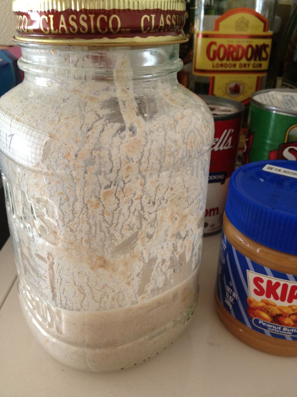 (10/27 8:00am) \u4e00\u6628\u65e5\u304b\u3089\u6025\u306b\u5143\u6c17\u304c\u306a\u304f\u306a\u3063\u305f\u5143\u7a2e\u3002\u6628\u65e5\u306e\u671d\u306b\u30b9\u30bf\u30fc\u30bf\u30fc\u4f5c\u308a\u306b1c\u629c\u304d\u3001\u305d\u308c\u304b\u30892\u56defeed\u3002\u4eca\u671d\u306b\u306a\u3063\u3066\u8868\u9762\u304c\u5c11\u3057\u6ce1\u7acb\u3063\u3066\u304d\u305f\u3002