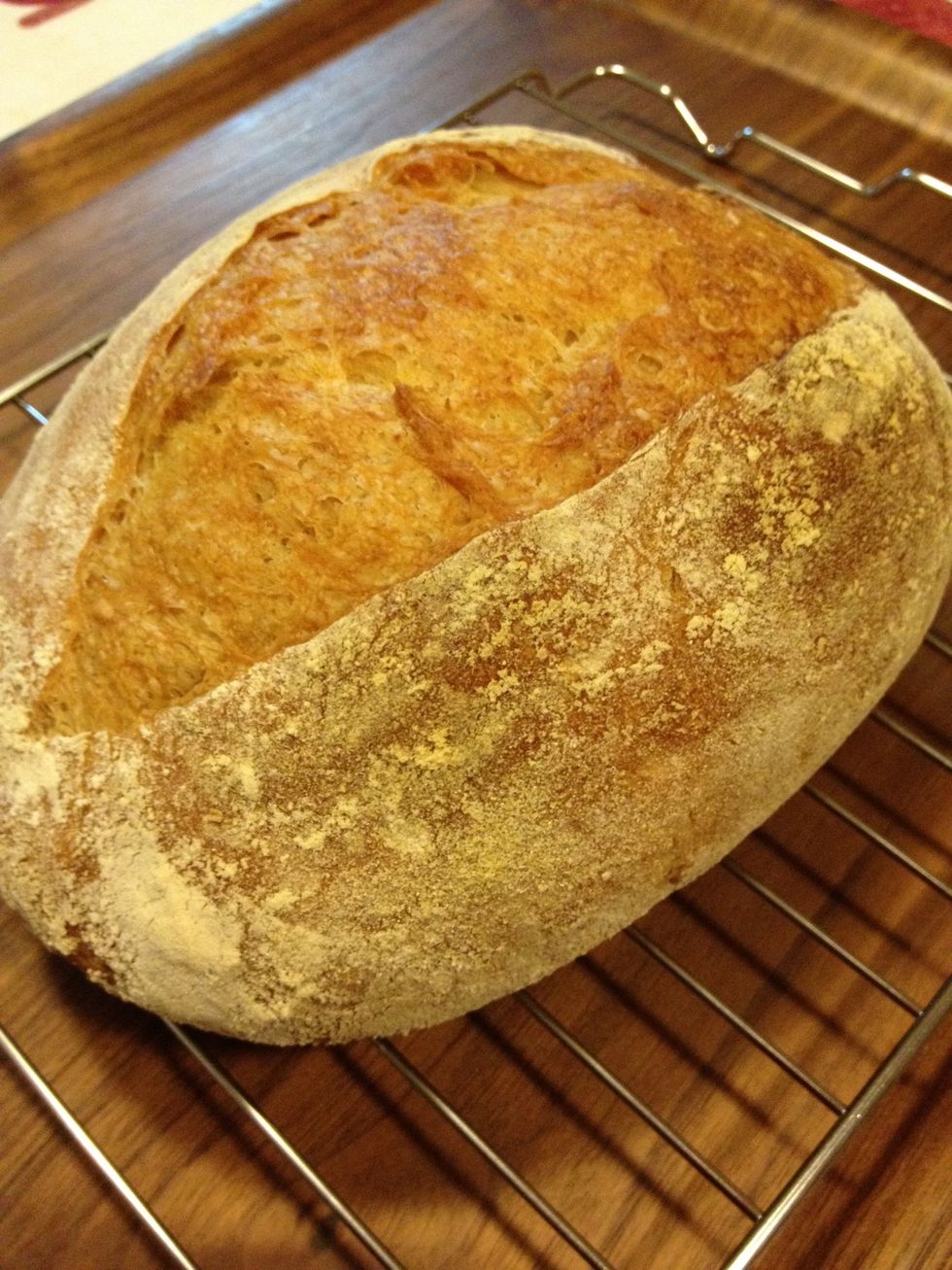 (10/28 0:15am) \u713c\u3051\u305f\uff0115\u5206\u8ffd\u3044\u713c\u304d\u3057\u305f\u3002\u6c34\u3092\u9727\u5439\u304d\u3057\u306a\u304c\u3089\u713c\u304f\u3068\u300c\u7167\u308a\u300d\u304c\u4ed8\u304f\u3093\u3060\u306a\u3002\u6b21\u56de\u306f\u3082\u3063\u3068\u30de\u30e1\u306b\u304b\u3051\u3066\u307f\u3088\u3063\u3068\u3002