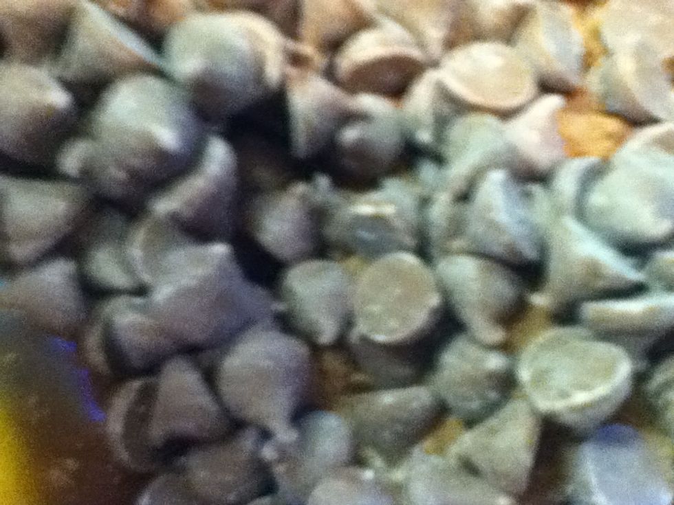100g plain chocolate chips