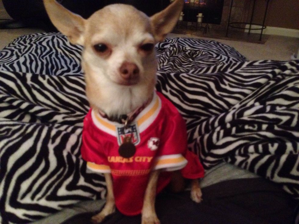 12.5 inches of snow!  You got it!  So, remember that example of .957?  That could mean 9.5 inches of snow.  Could be a lot of snow for me if it's dry and fluffy!  But, doubtful because of the rain.