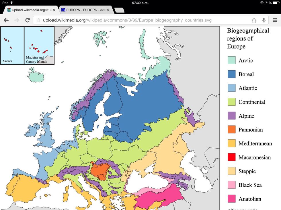 13.- \u00bfQu\u00e9 clima tienen los pa\u00edses europeos?