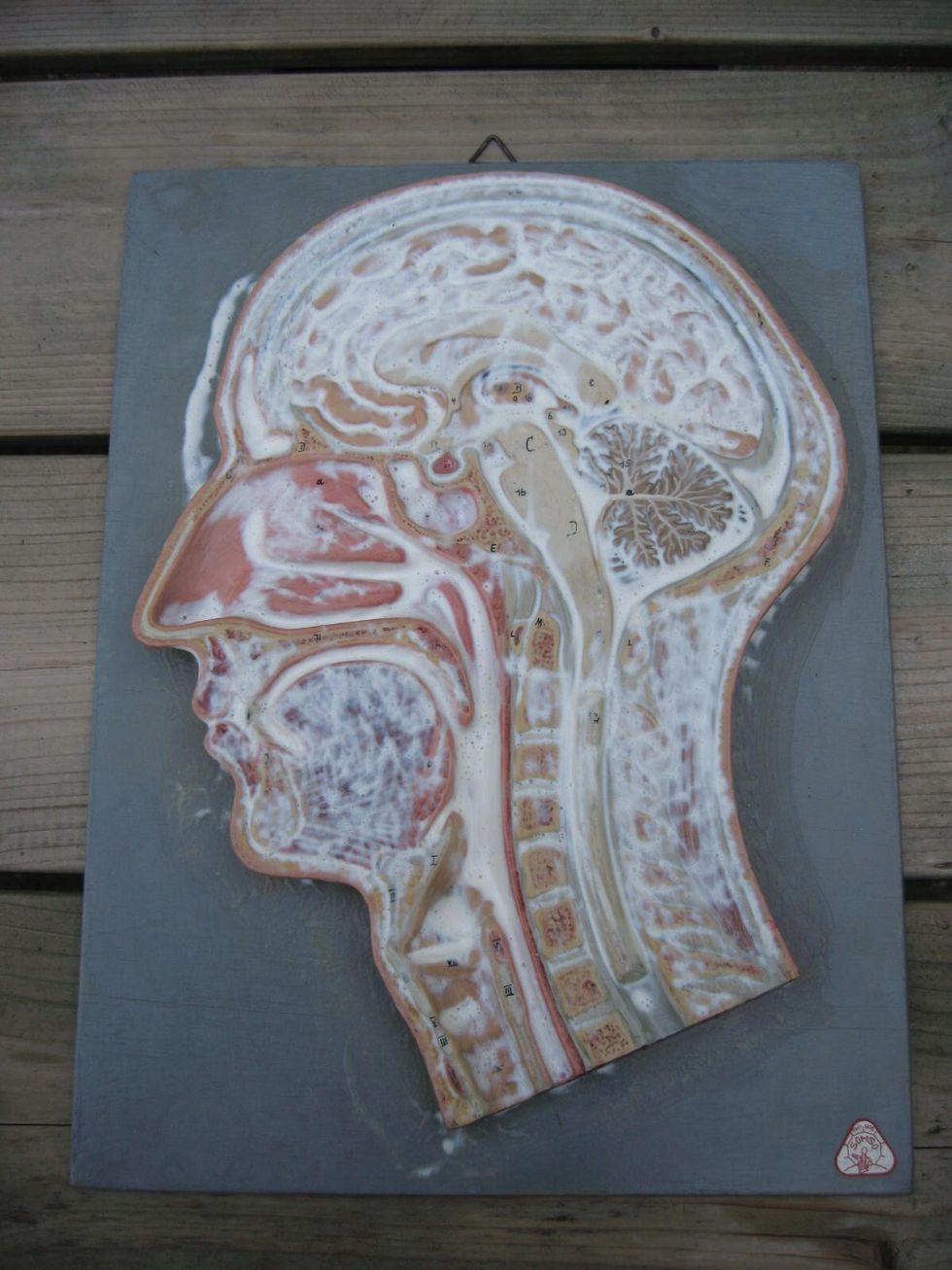 16 Again, a first layer of plaster...