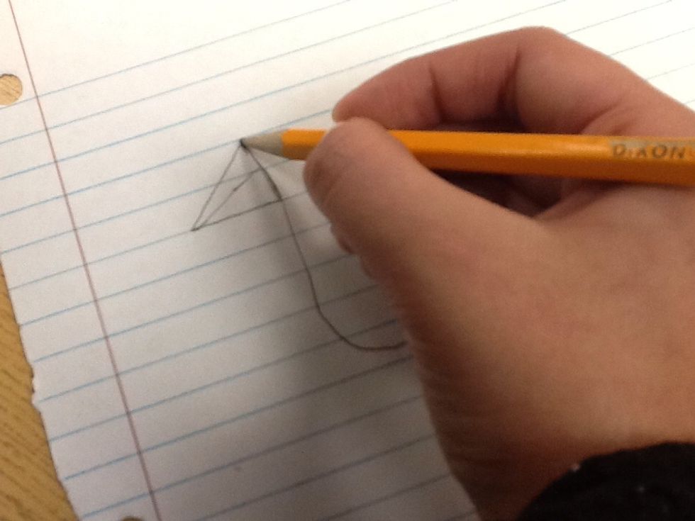 17.Start from the top of the beak...