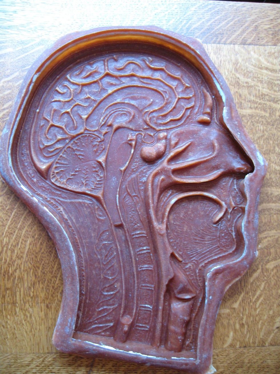 18 After 8 layers,I took the rubber of the original ...