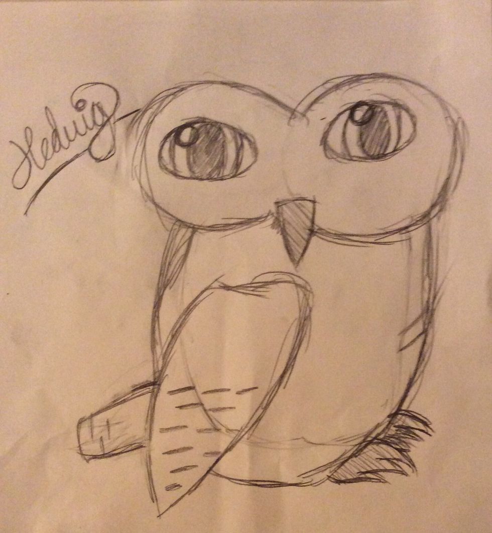 19. Well done you have now accomplished in drawing Hedwig from Harry Potter! This is what it should look like. Hopefully it looks better than mine!