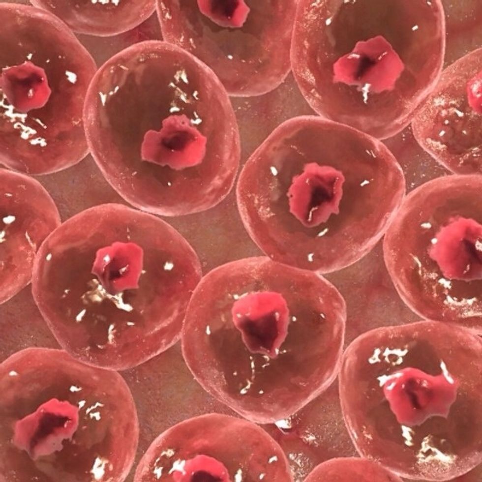 1c) name and describe one technology to diagnose skin cancer
