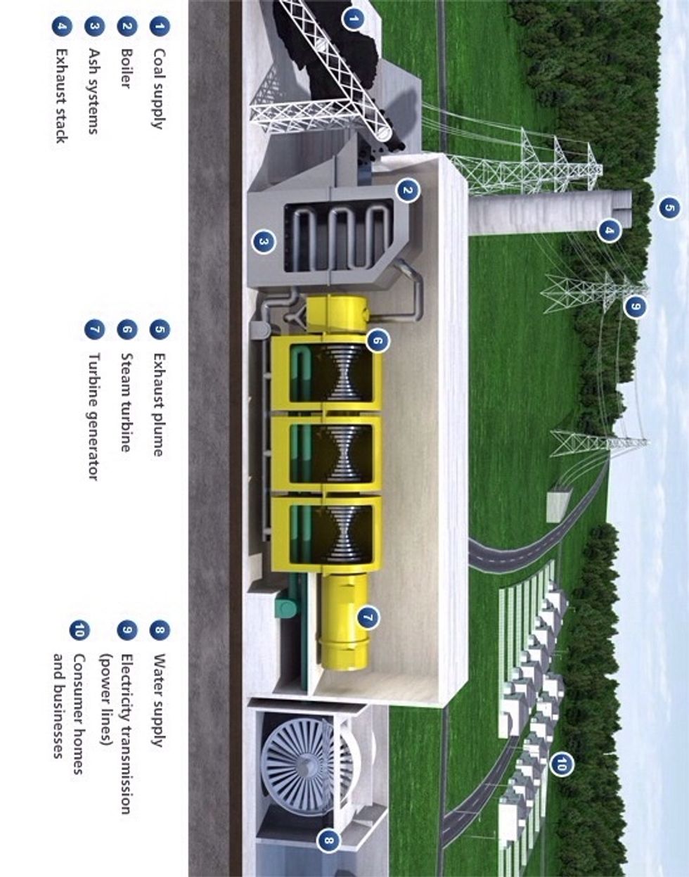 1st the coal is crushed into a powder. 2nd it is blown into the boiler where it is burned. The coal will begin to get hot so then it will become heat energy.