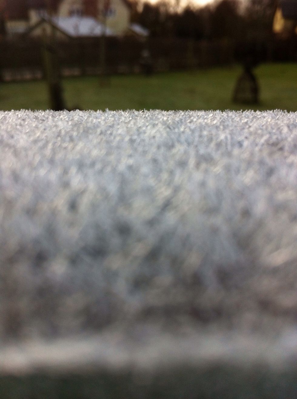 2. ANGLES/POSITION. In this shot, I needed to get my phone as low as possible to catch the winter frost at its best. Experiment with your subject and soon you will find your perfect shot :)