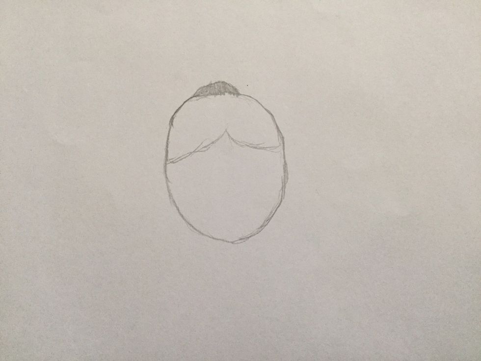 2. Draw the hair lackey  and a hair line