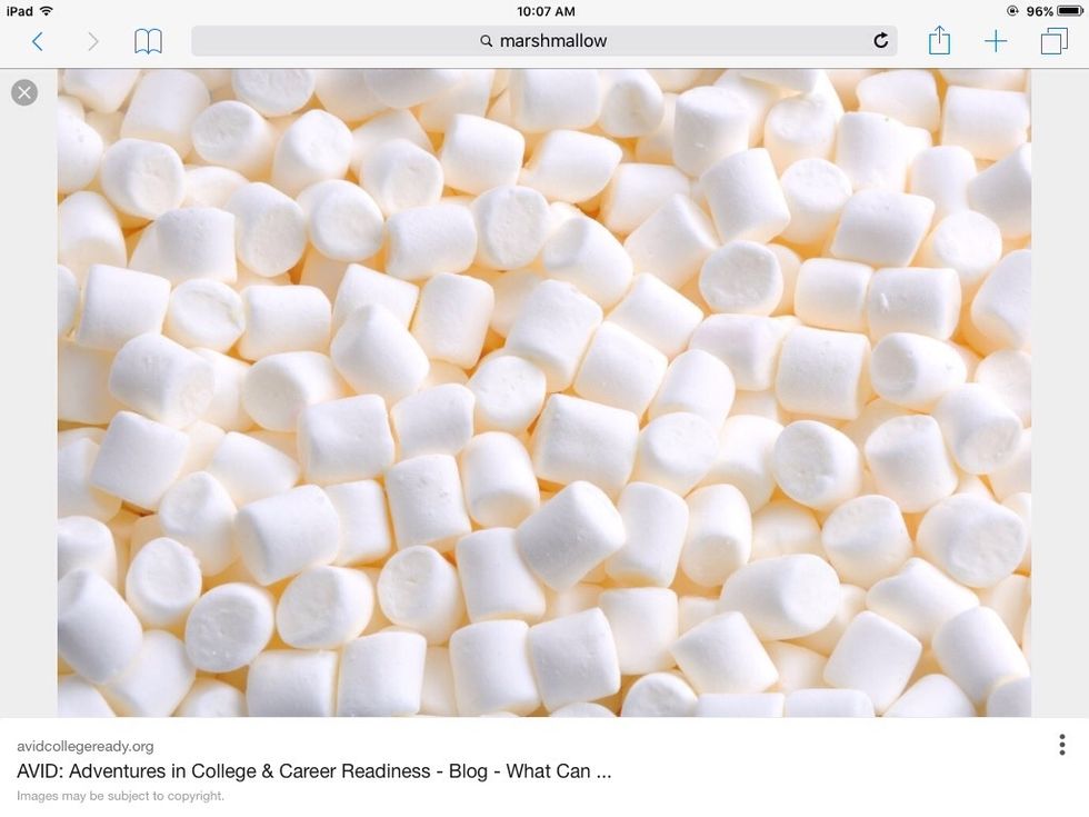 2. Melt your marshmallows in your pot. (Make sure you add your butter to the pot)