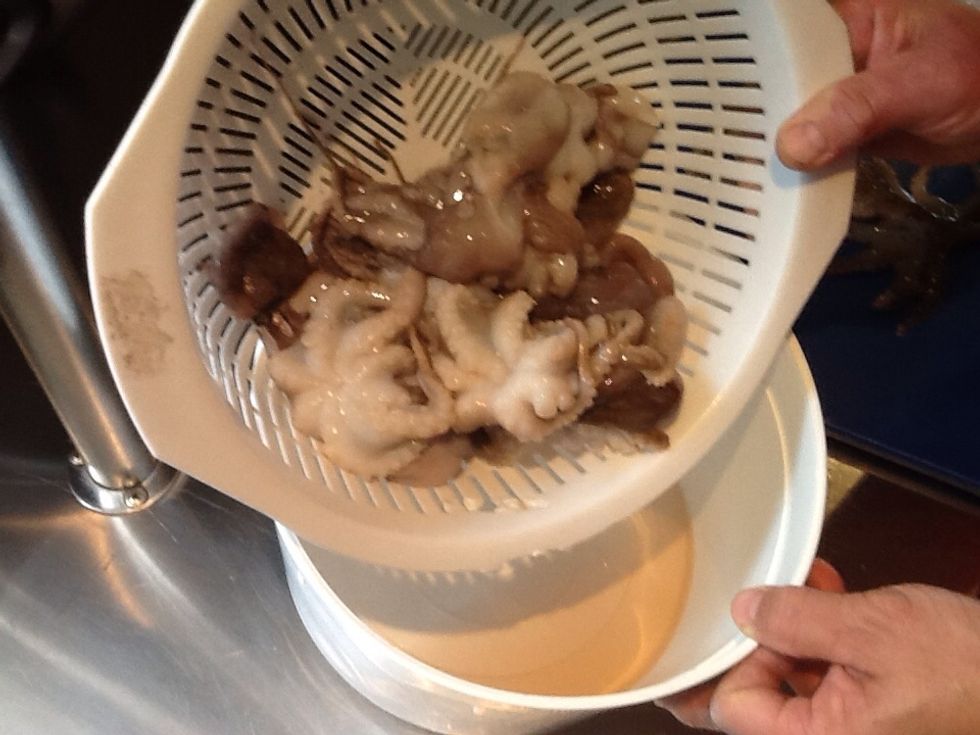 2. Once did the water will evaporate or leak out of the octopus