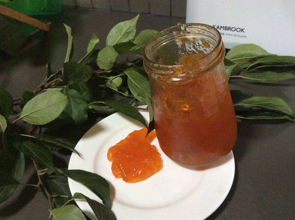 2 tablespoons strained apricot jam