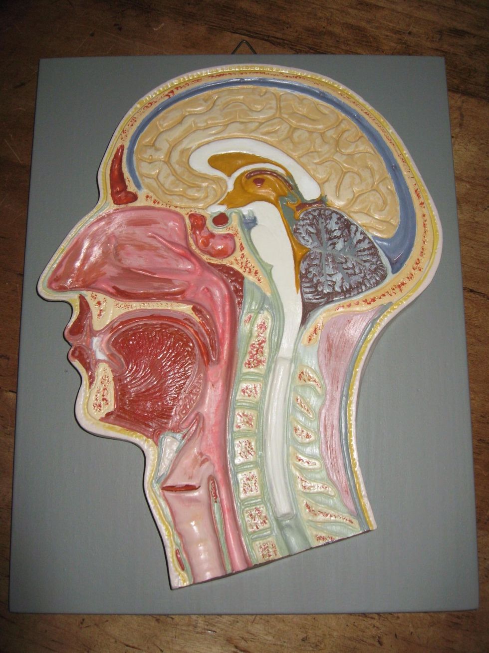 22 Nevertheless, I'm satisfied with my new head! Wish you good luck!