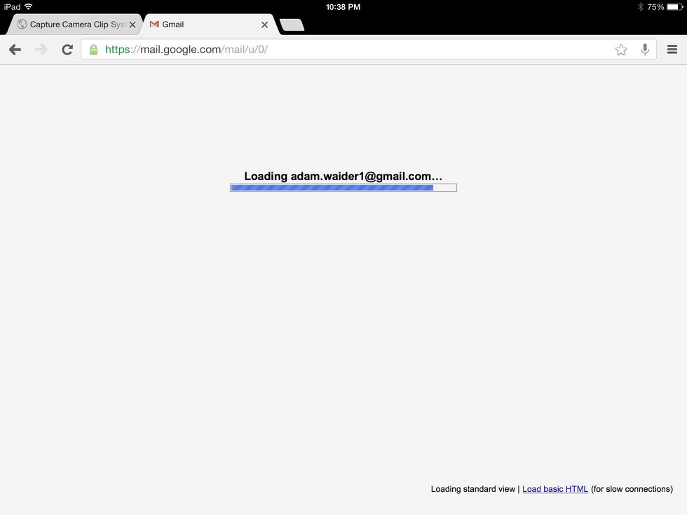 3:3 Wait for the site to load.