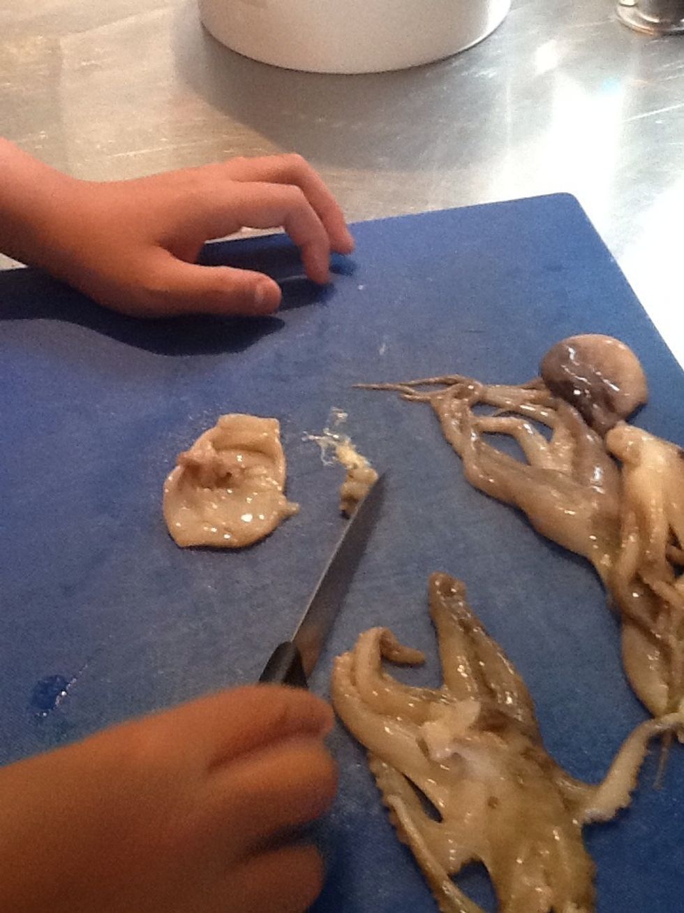 3. Carefully cut the head of an octopus with a small knife, and remove all the guts