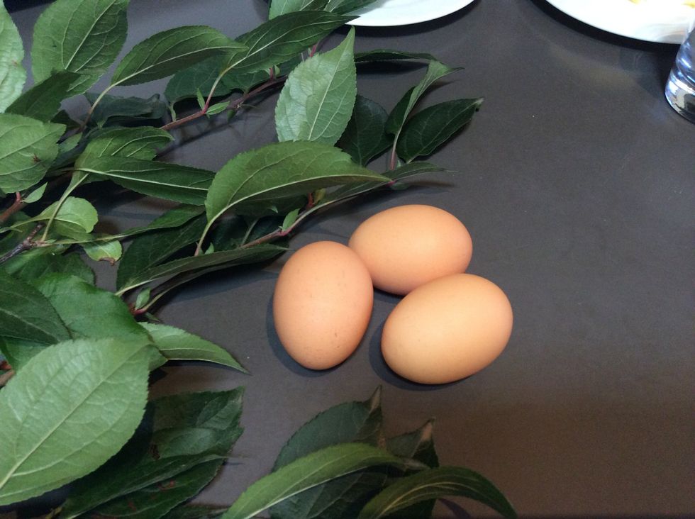 3 eggs
