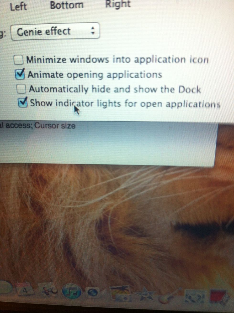 #3 Indicator Light: In Lion, this feature is disabled by default. To enable it go to System preferences > Dock > Mark 'Show indicator light for open applications'