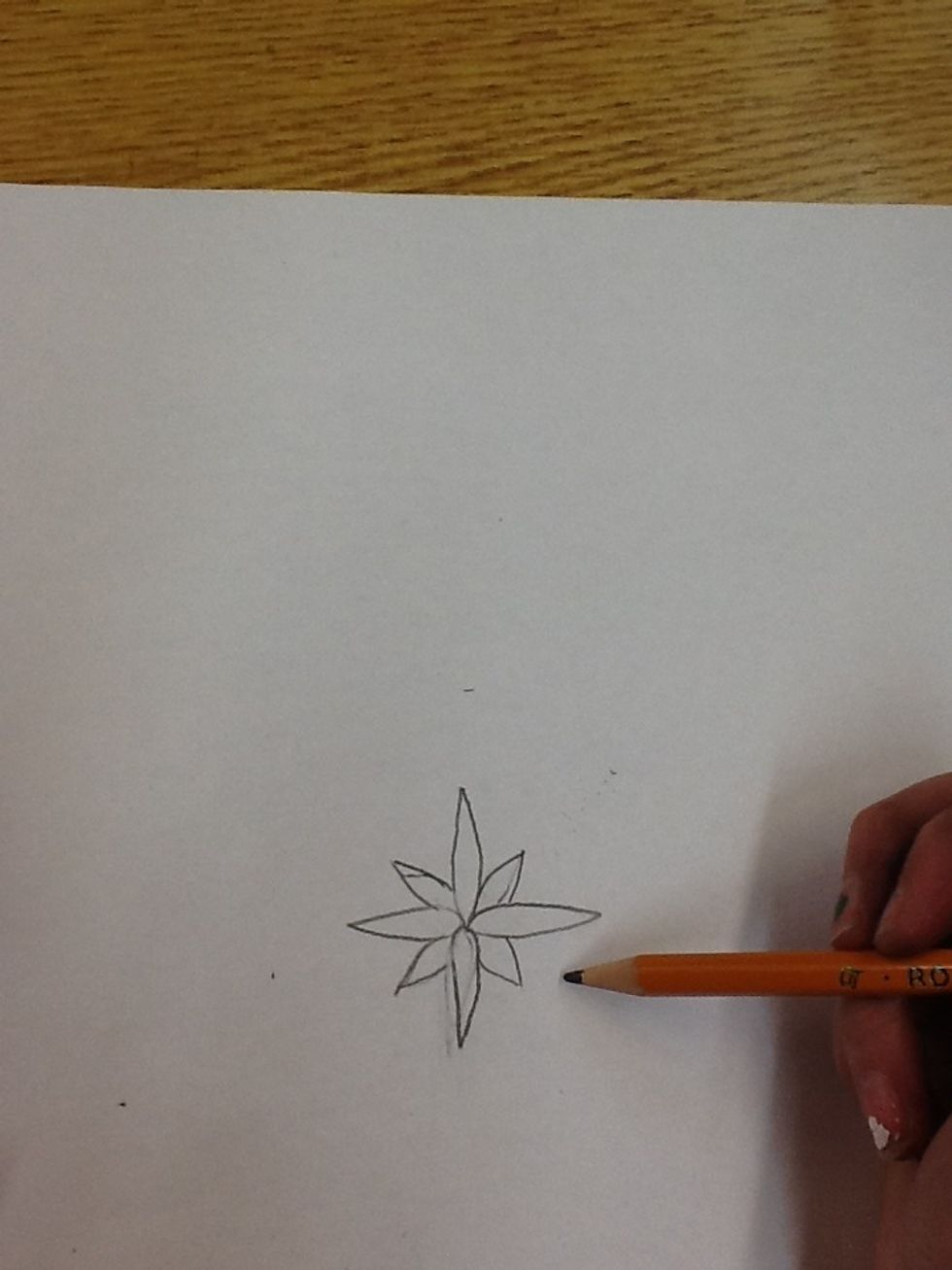 3) Next, you're going to draw 4 smaller petals on the larger petals.