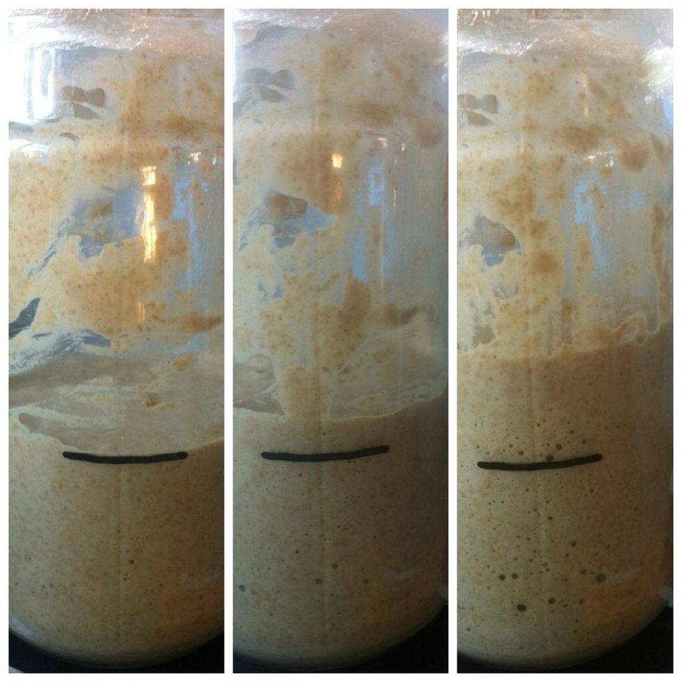 3 photographs taken at 30 minute intervals. This shows how fast the mixture grows.