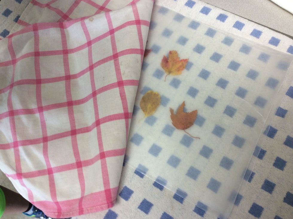 3- Put a thin towel on top of if.