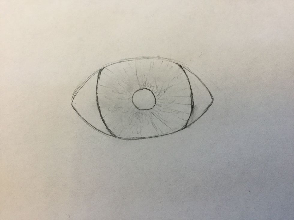 4. Lightly draw the lines expanding  from the pupil to the iris