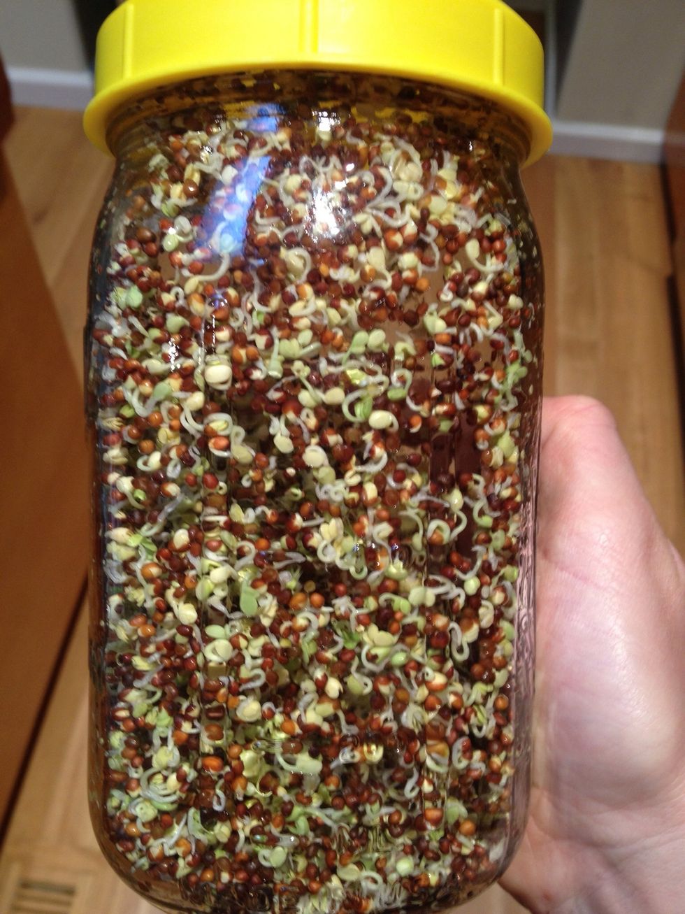 48 hours. It is a good idea to taste the sprouts each rinse. You will taste slight changes each day. Take note of when you find the taste preferable, so you know when the sprouts are complete.