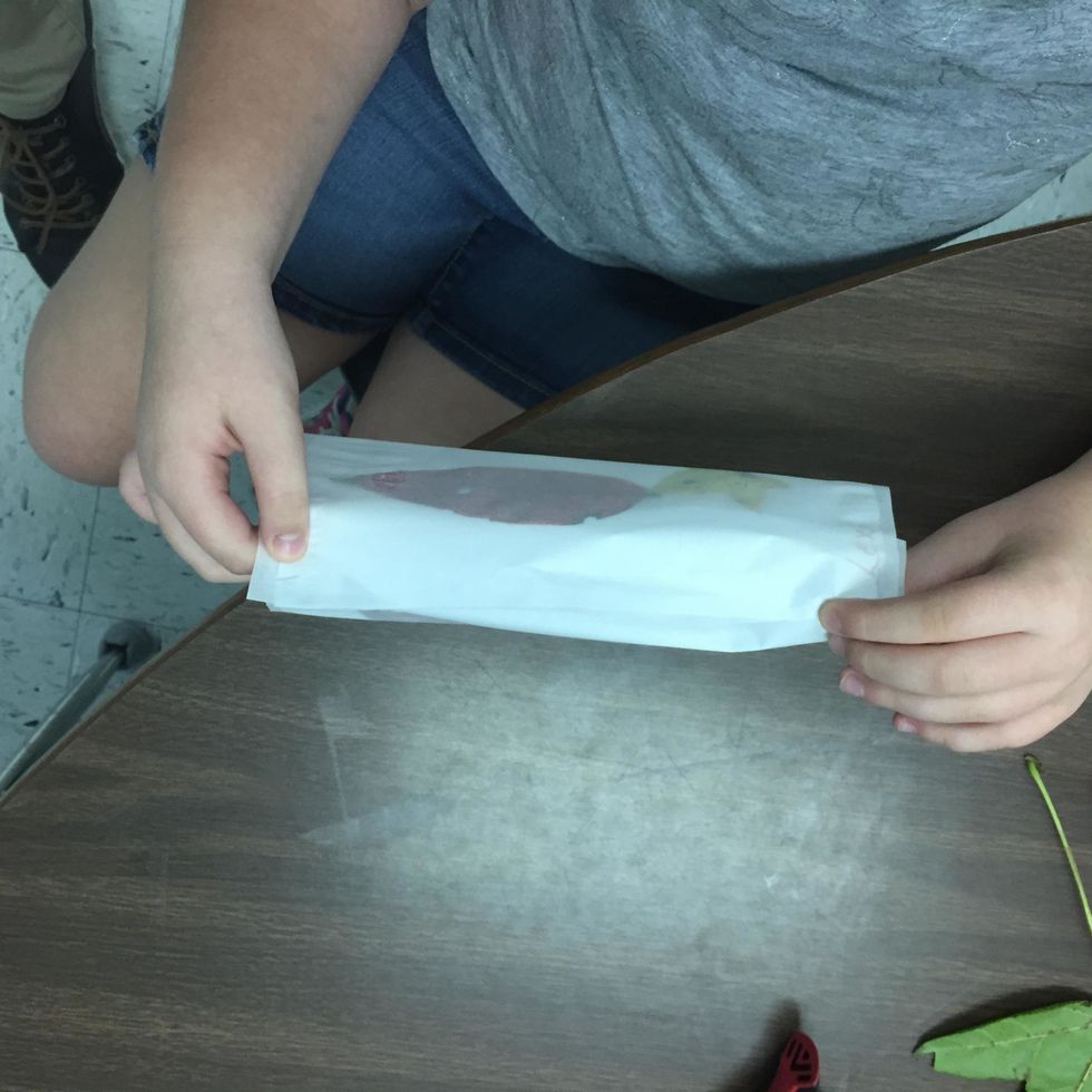 5. Bring short edges of papers together to form tube.