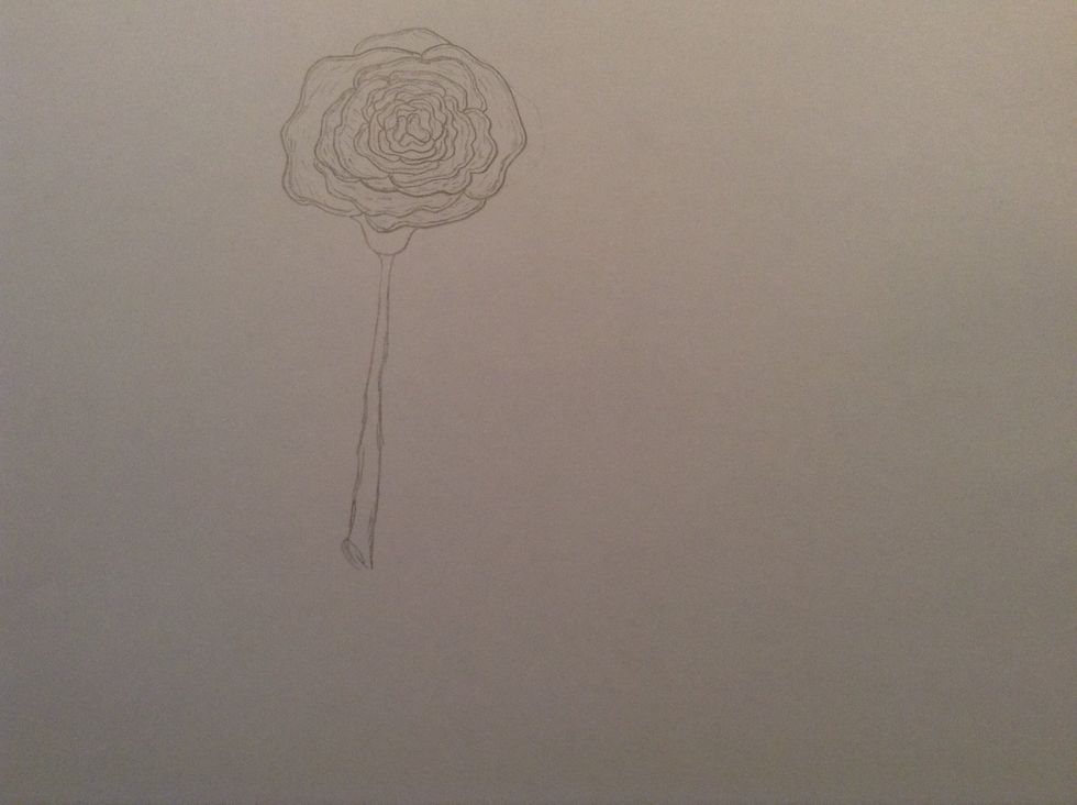 5. Now it is time to draw the stem.