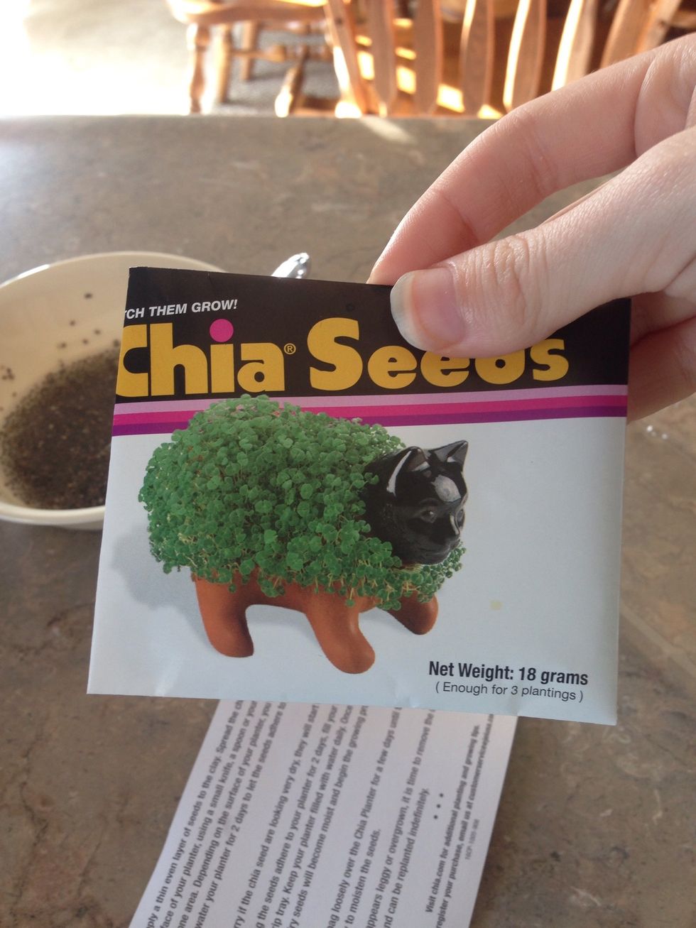 How to correctly plant a chia pet - B+C Guides