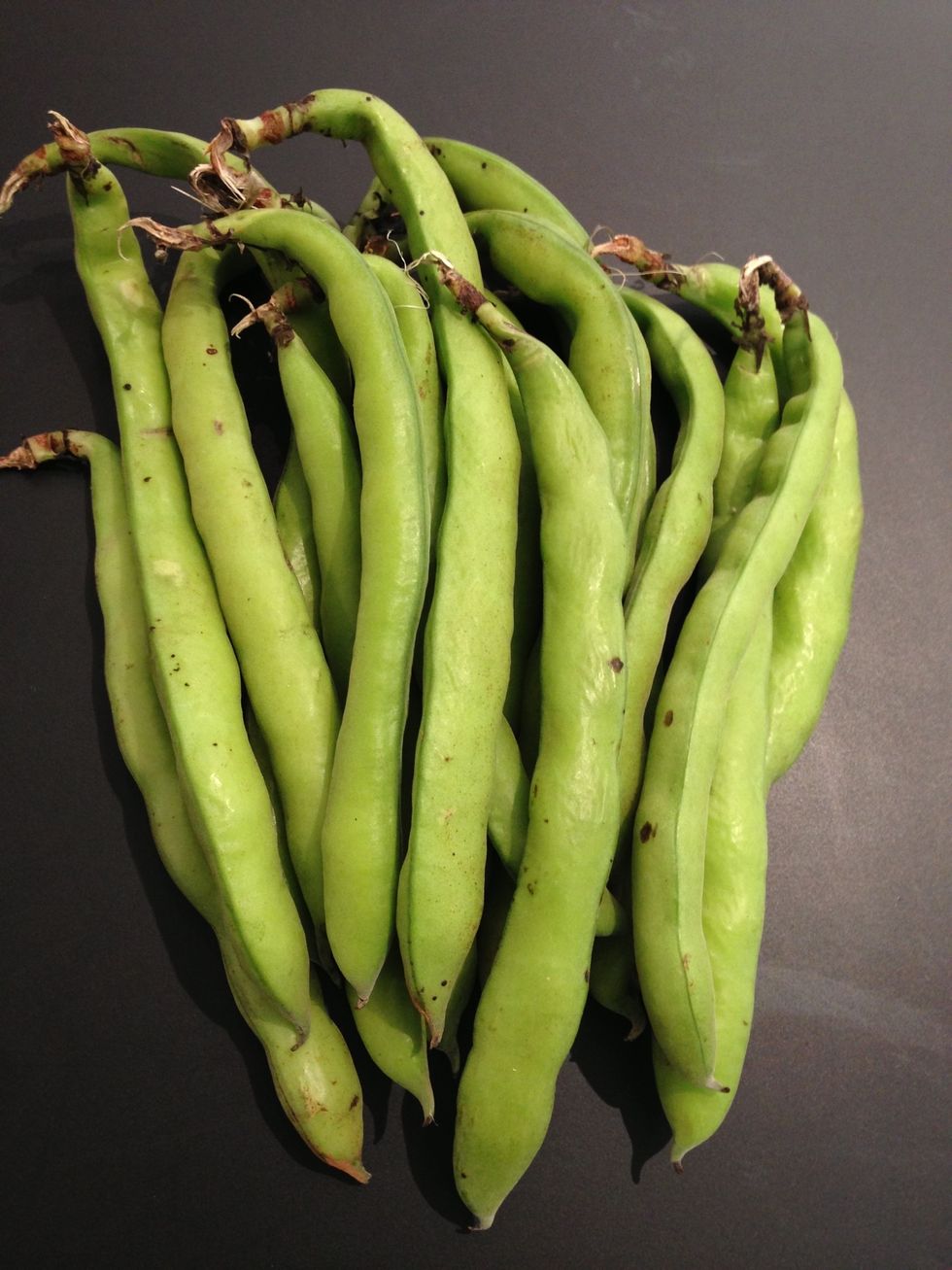 500 fresh fava beans will render 100/120 g beans