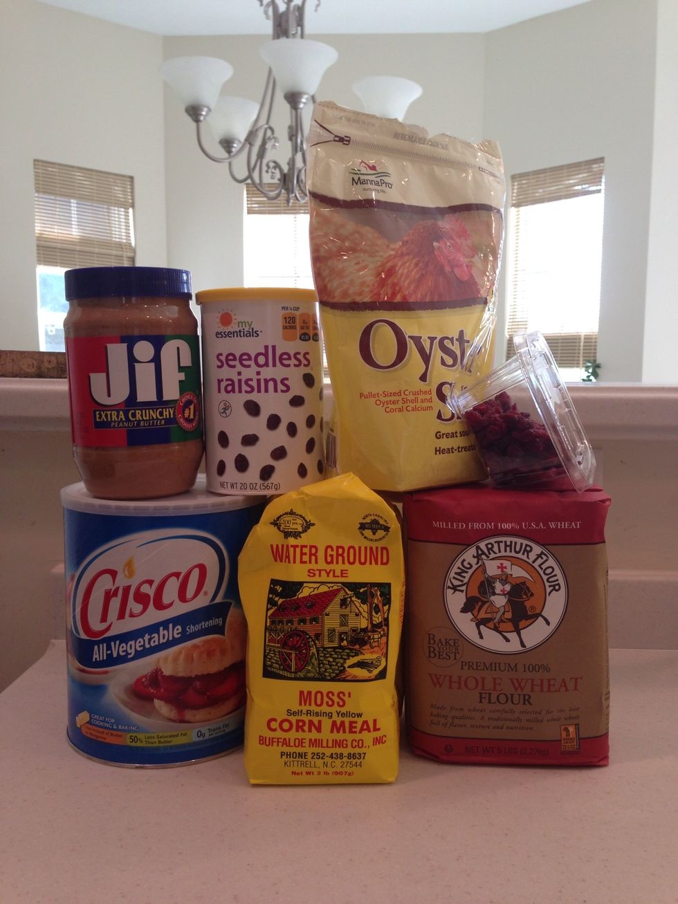 How to make bird suet from scratch B+C Guides