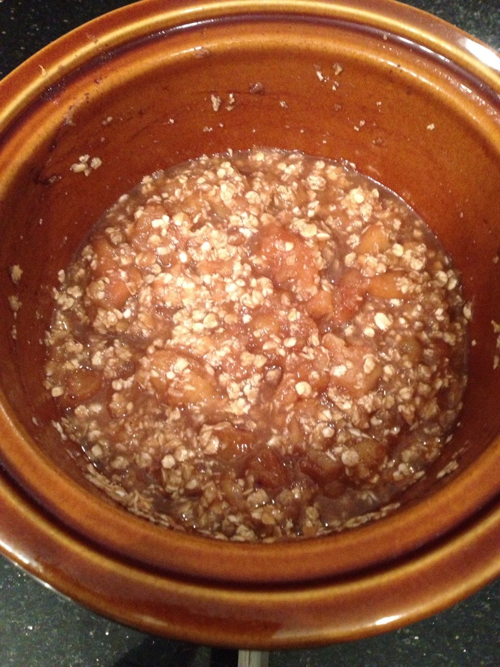 7 hours later open and toss in the 2 cups of instant oatmeal, stir, shut the lid for 5 minutes, and you have beautiful hot Apple Spice Oatmeal for everyone :)