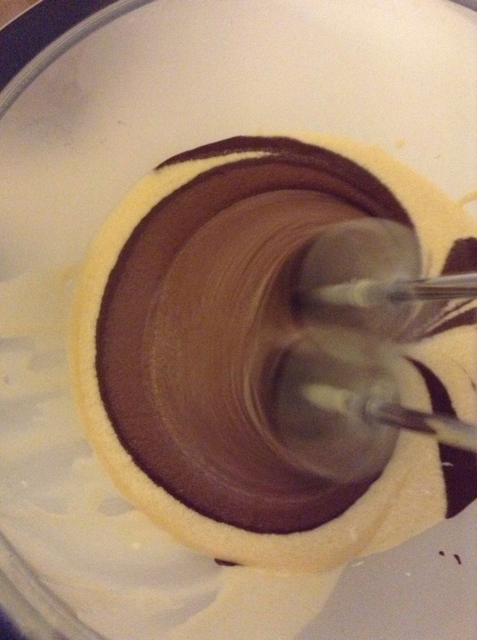 8.) Once the cocoa mix is combined well, mix it with only ONE bowl of the evenly parted mixtures on low speed