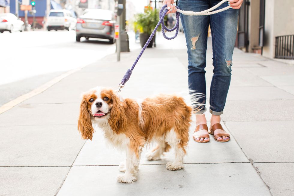 8. Your dog walker. She takes care of your favorite furry friend, rain or shine. Anyone who makes your puppy happy has totally earned a thank you.