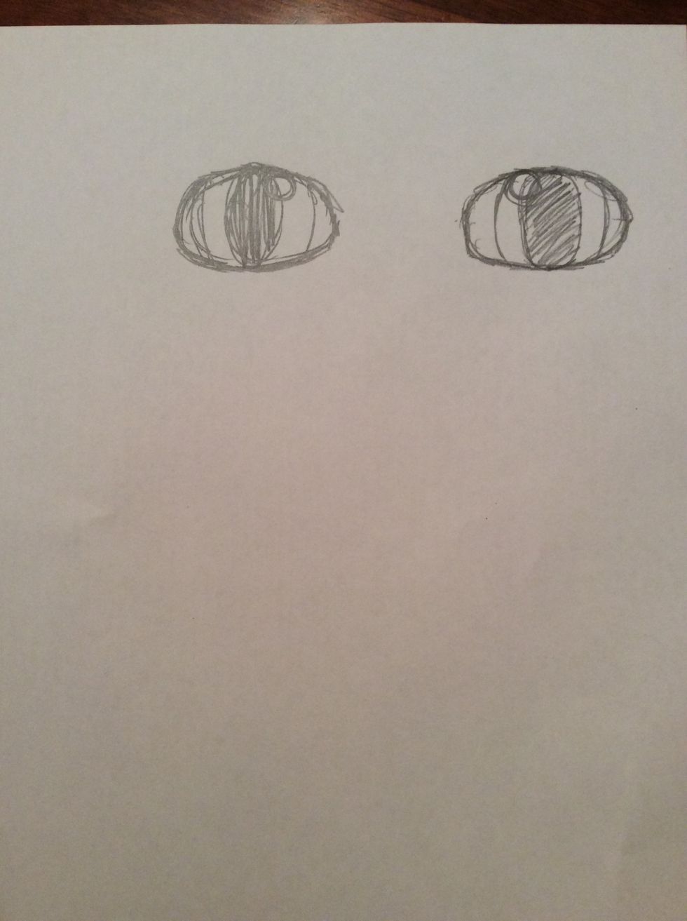 9. Lightly shade around the two eyes.