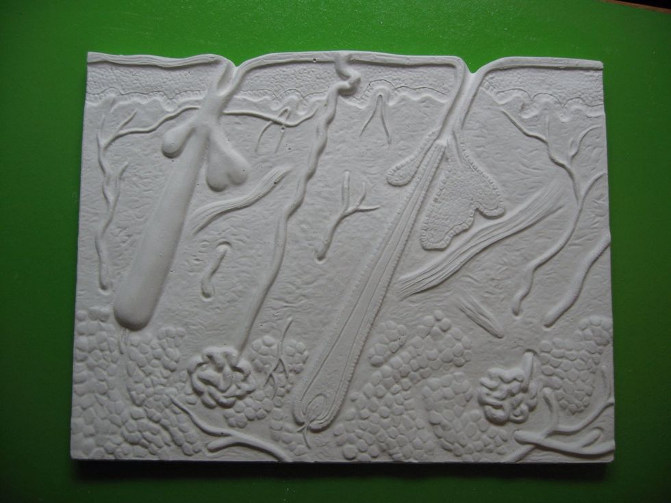 9 Take your new model out of the mold after drying. You better lay it on the table on the backside and just take the rubber mold away. Don't be afraid damaging it; the rubber mold is very flexable.