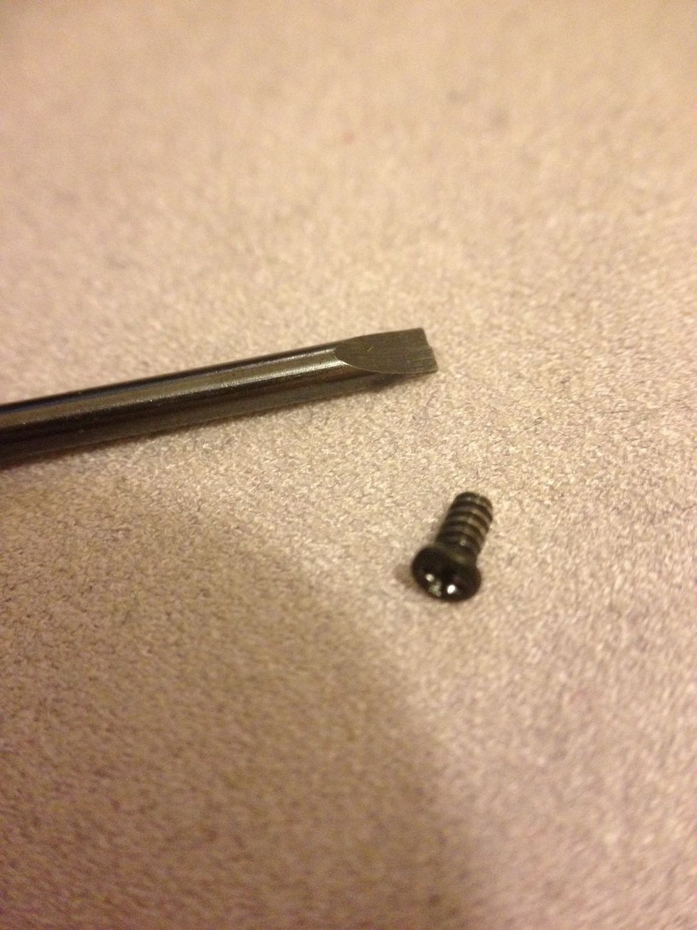 A 2.4mm screwdriver and a tiny screw