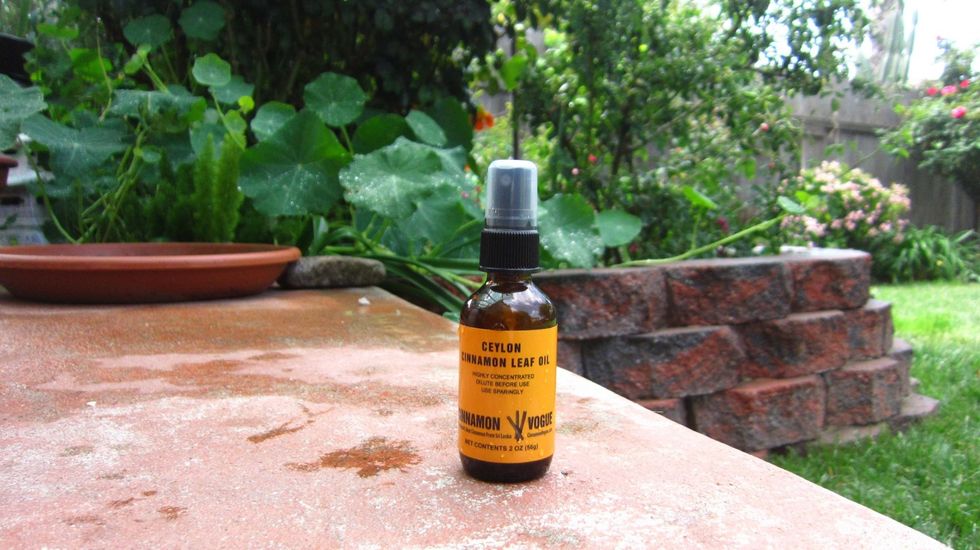 A 2oz bottle of Ceylon Cinnamon leaf oil. Wear gloves when handling Cinnamon Oil because it is hot like Chili if it is not diluted. That means a little goes a long way.