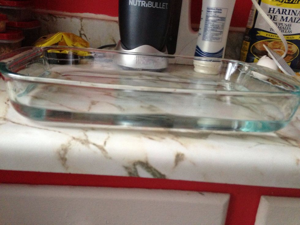 A bowl with water (not too much) \ud83c\udf76\ud83d\udca6